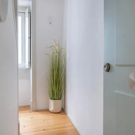 Condessa Iv By Innkeeper *